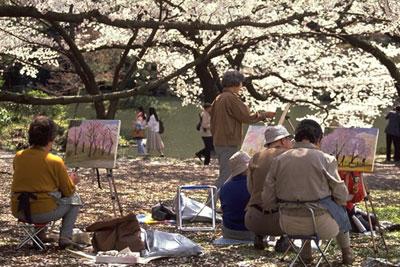 Springtime in Japan is one of the year's most anticipated events. With it comes Ohanami--cherry blossom time. During Ohanami season, which lasts only a few short weeks, the people of Japan turn out in droves to gather in city parks and private gardens in celebration of the ephemeral beauty of the flowering trees.