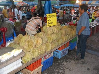 Durians at the Krabi night market in Thailand