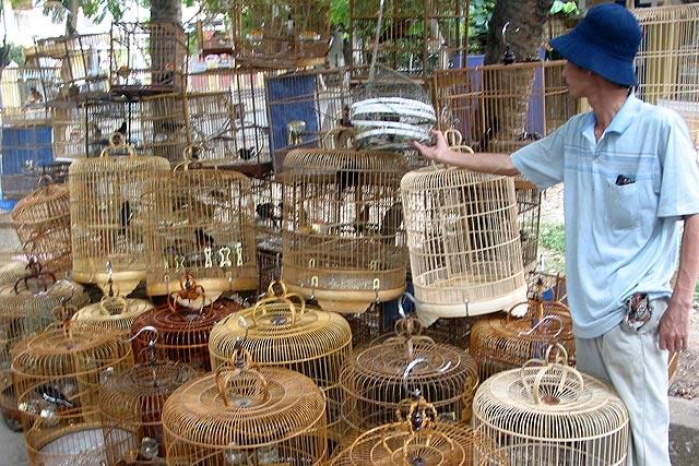 Things not to buy in Hue. Vietnamese forests are nearly void of wildlife due to the exotic pet trade and bushmeat trade.