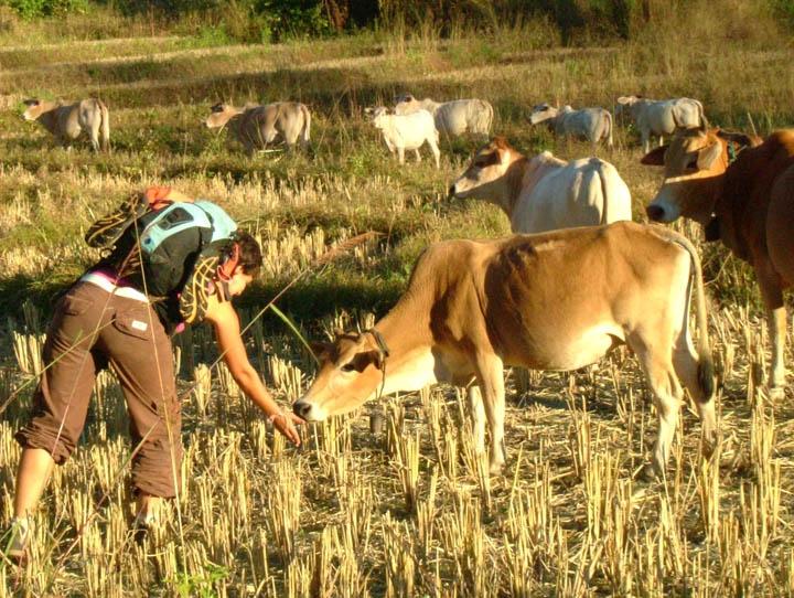 Trekking outside Pai, in Mae Hong Son province, Thailand.