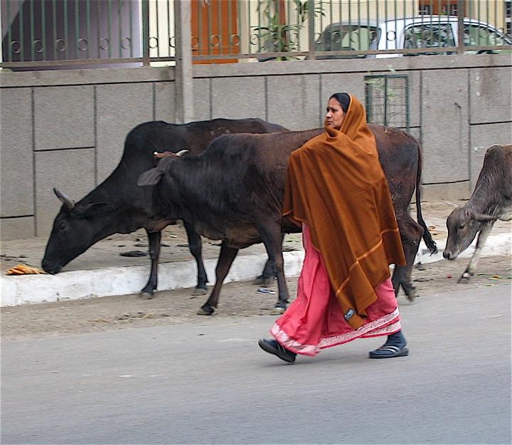 A woman goes for a walk in downtown Delhi
