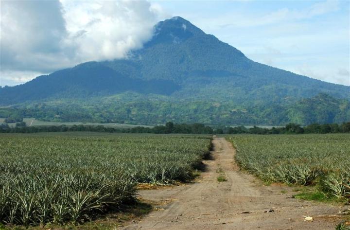 Philippines, Mindanao, South Cotabato, Polomolok, Mt. Matutum