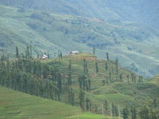 Sapa Valley view