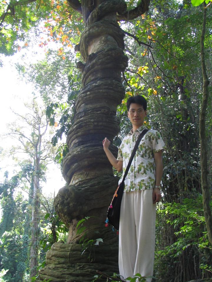 Me in front of a tree strangled by the vine Phytocrene macrophylla