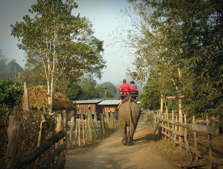 Tourist's exciting trip on elephant back 