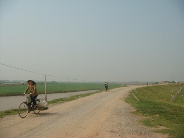 Countryside on the dike road from Hanoi to Dong Ho village.