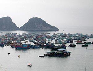 Cat Ba - view of the main commercial harbor of Cat Ba Island