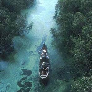 Approaching the watchtower, Tra Su Forest Reserve