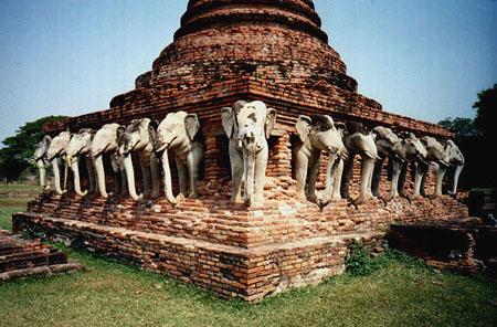 Elephants have long been revered in the Thai Kingdom. Besides being used as a major form of transportation in the past, the elephant is also considered the "royal" animal. The intricately carved elephant heads among the ruins is an indication of the animal's importance even during the Ayutthaya days.