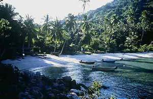 One of the many undeveloped beaches on Pulau Perhentian