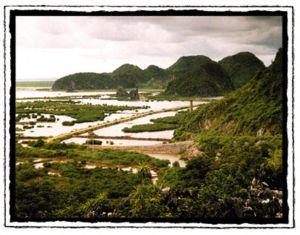 The limestone ridges of Cat Ba rise dramatically from the sea.