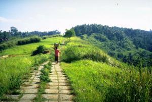 Path to Bankiang Sidem