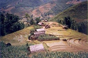 Huts among the paddy fields on day one of trek