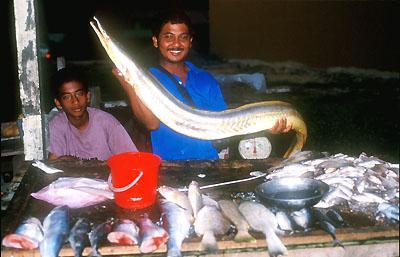A Malay fishmonger displays his wares.