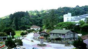 Bird's Eye View of Fraser's Hill...