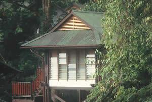 Longhouse on the Temburong River