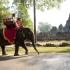 Elephant Ride in Siem Riep