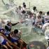 There was an air of camaraderie at the dragon boat festival in the Sai Kung district of Hong Kong, 25 June 2001 when competitors ended off their race by splashing water on each other with their paddles. The event, also known as Tuen Ng Festival, dates back 2000 years and is held on the fifth day of the fifth lunar month. Hong Kong celebrates this public holiday in a big way, with races all over the city and new territories.