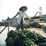 Bananas for sale, Cai Rang market near Can Tho, Mekong Delta, Vietnam.