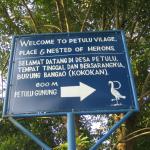 The welcome sign by the football field to enter Petulu village