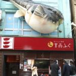 The huge puffer fish fixture above the entrance of the Fugu restaurant in Shimbashi