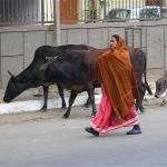 A woman goes for a walk in downtown Delhi