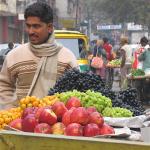 Fruit seller at work in downtown Delhi