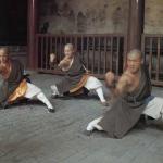 Shaolin Kung Fu is one of the most famous Kung Fu genres, old, influential and an important part of Chinese Kung Fu.