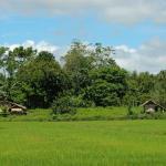 Mindanao countryside