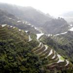 The spectacular Banaue rice terraces rise like giant steps to the sky.