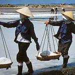 Women laborers at the saltworks around Cam Ranh Bay.