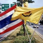 Country and King: As part of the King's birthday celebrations, the national flag of Thailand is flown alongside the yellow flag symbolizing the Thai royalty. Ban Chang, Thailand.