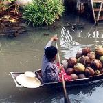 A vendor carries coconuts on the way to a nearby floating market.