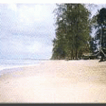The Beach of "Whispering Breeze" is framed by tall casuarinas. A beautiful location...