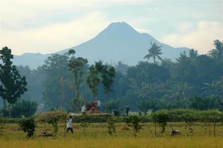 The Ricefields of Allah Valley, Mindanao | ThingsAsian