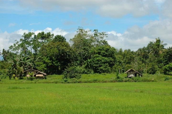 The Maranao Tribe from Lake Lanao | ThingsAsian