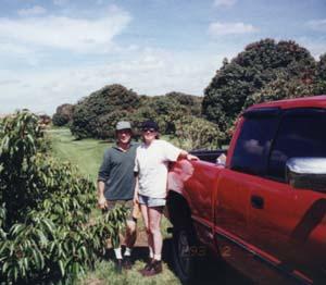 For The Love Of Lychees An Interview With Lychee Growers Bill Mee And Krystal Folino Thingsasian